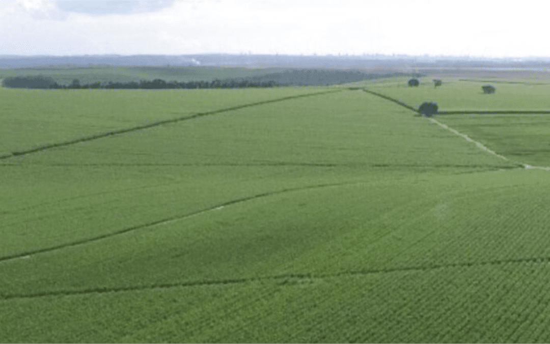 Avanços do Agro no ESG