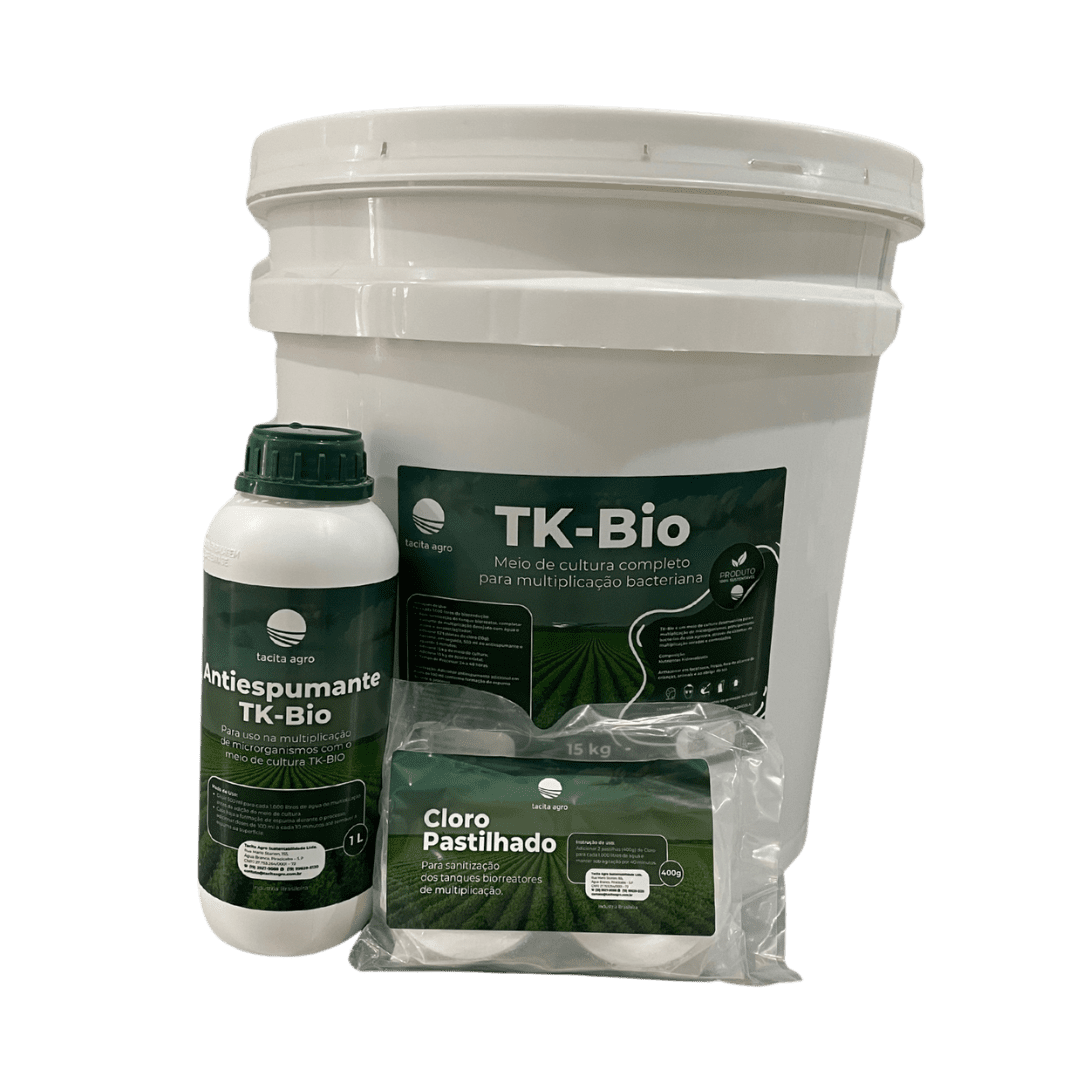 imagem banner tacita 1